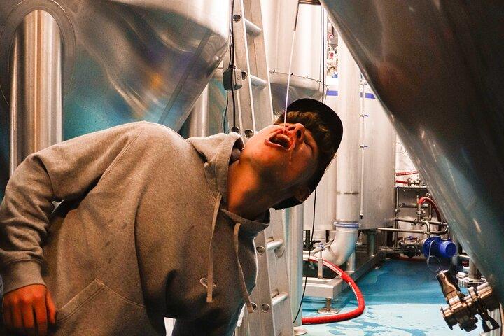 3 Locks Brewing Company Tour and Tasting Experience in Camden