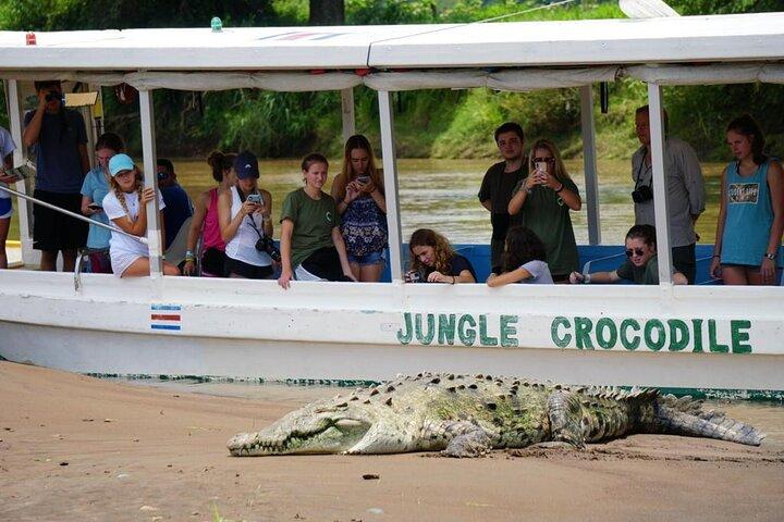 Crocodile Boat Tour & Carara Park. Tour privato