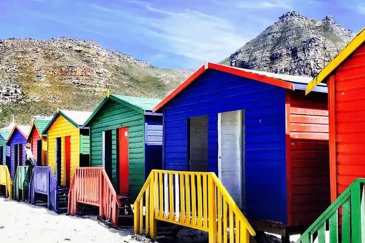 PRIVATE TOUR: Botanical Garden, Muizenberg Beach and Penguins