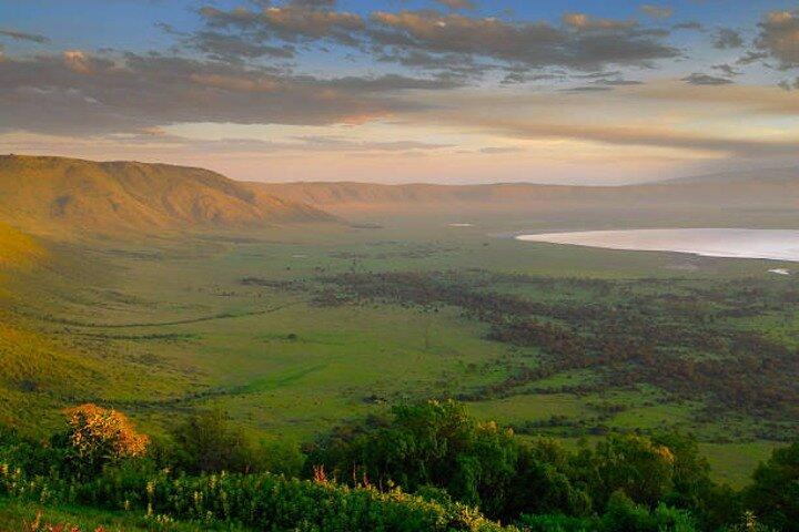 4 dagars safaritur i Tanzanias mest ikoniska parker