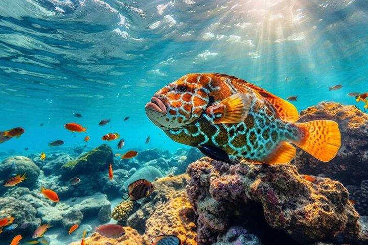 Passeio combinado de quadriciclo e mergulho com snorkel