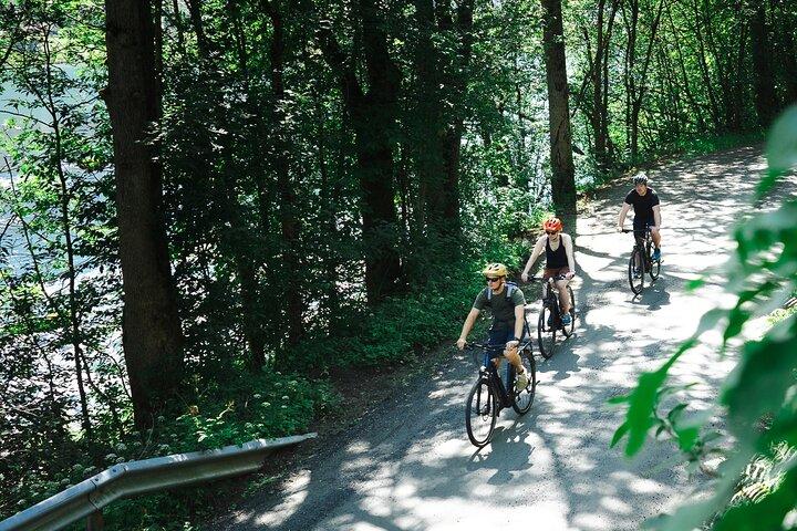 Olden: tour in bici elettrica nel fiordo