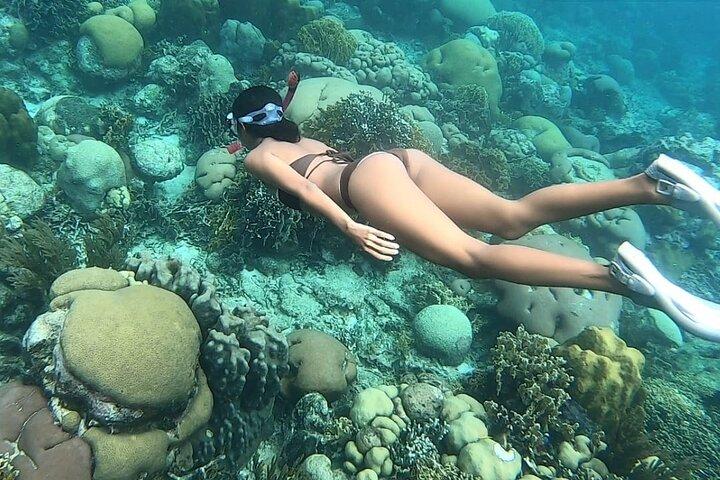 2 DAGER 2 NÆTTER All-Inclusive San Blas Islands på sejlbåd
