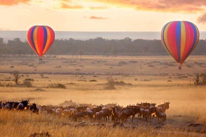 12 jours de safari mémorable au Kenya et en Tanzanie