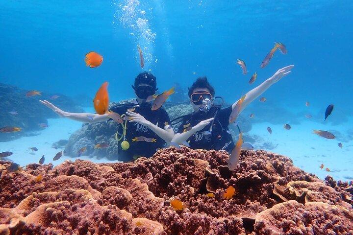 Immersioni subacquee a Racha e barriere coralline con foto e video