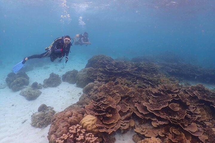 Immersioni subacquee a Racha e barriere coralline con foto e video