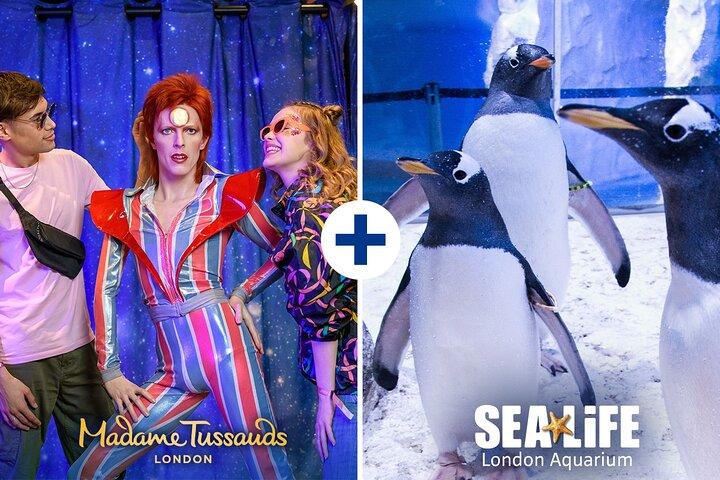 Ingresso combinado: Madame Tussauds e SEA LIFE London Aquarium
