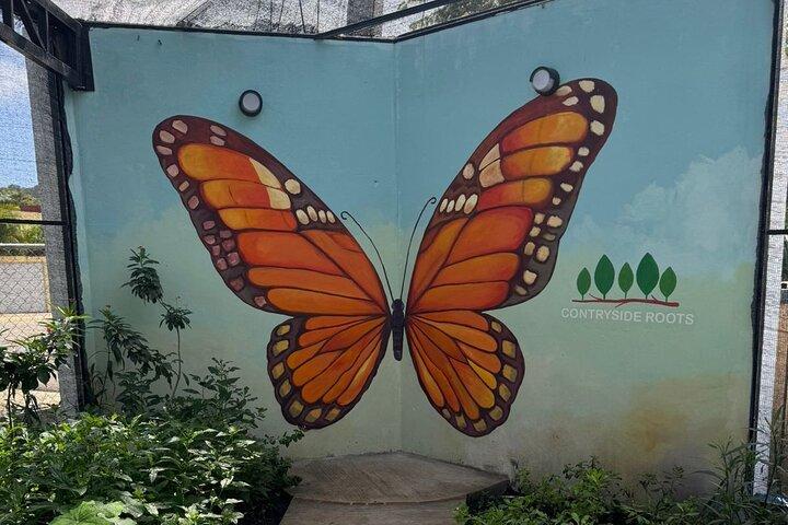 Puerto Plata City Tour avec Jardin des Papillons