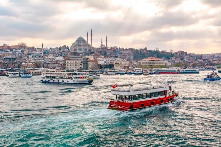 Istanbul Bosphorus Sightseeing Cruise with Audio Guide