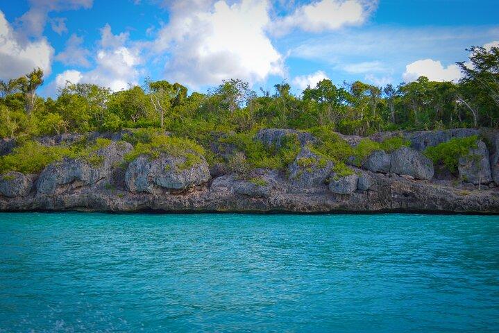 Isla Saona un Paraiso desde Punta Cana Tour Guiado Todo Incluido