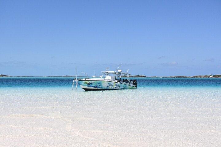 Tour di 6 ore a Rose Island con esperienza di snorkeling e pranzo