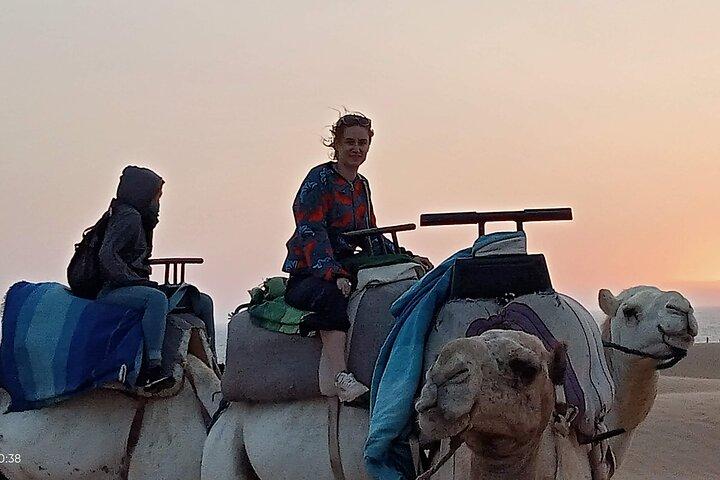 1 timmes dromedarritt nära Essaouira, Marocko