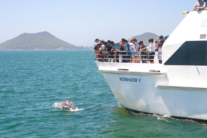 From Sydney: Port Stephens Dolphin, Koalas, 4WD & Sandboarding