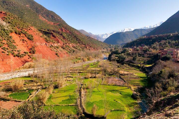 Marrakech: The Atlas, the valley DE the Ourika waterfalls