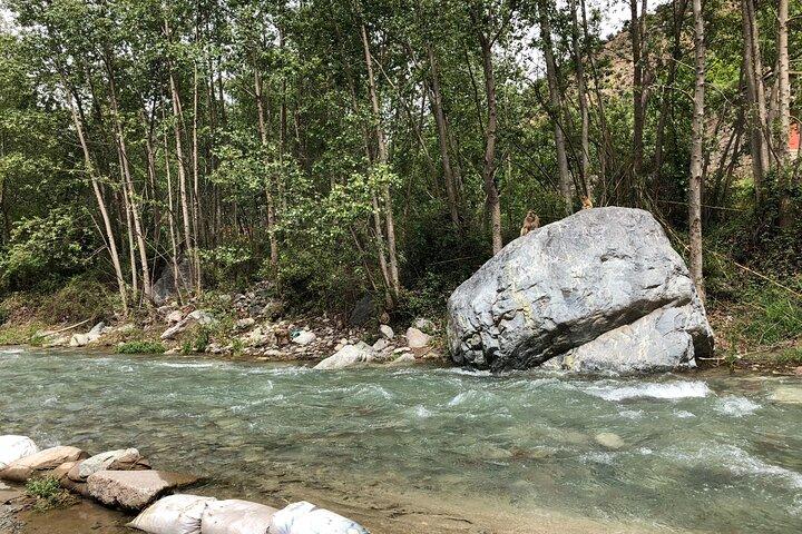 Marrakech: The Atlas, the valley DE the Ourika waterfalls