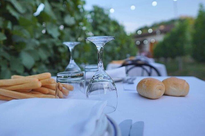 Paseo guiado y almuerzo en el viñedo de Alba.