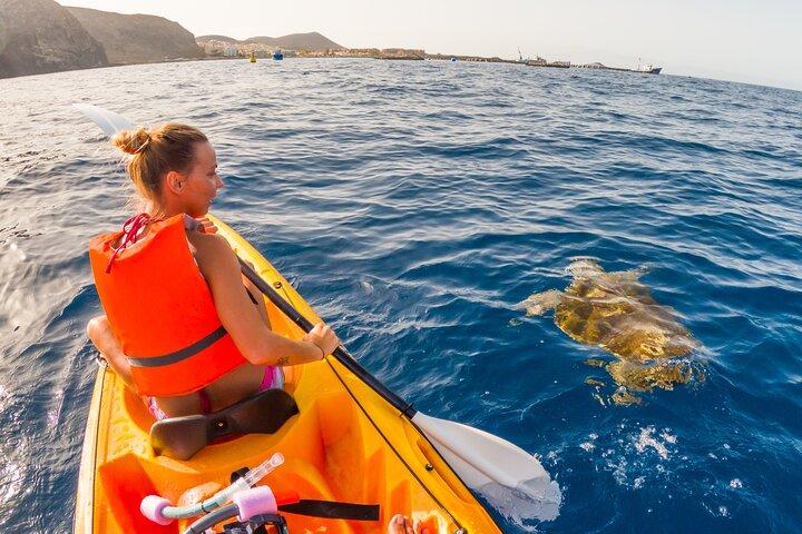 Teneriffa : Kleine Kajak- und Schnorcheltour mit Meeresfauna