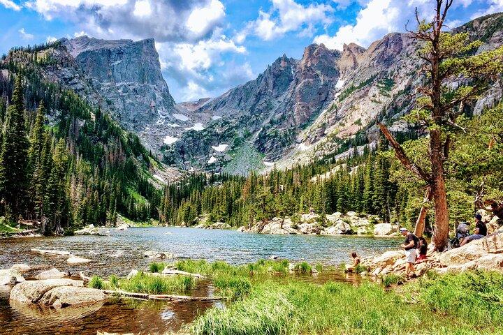 Private Tour Wildlife i Rocky Mountain National Park