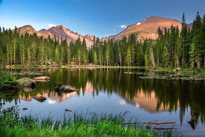 Private Tour Wildlife i Rocky Mountain National Park