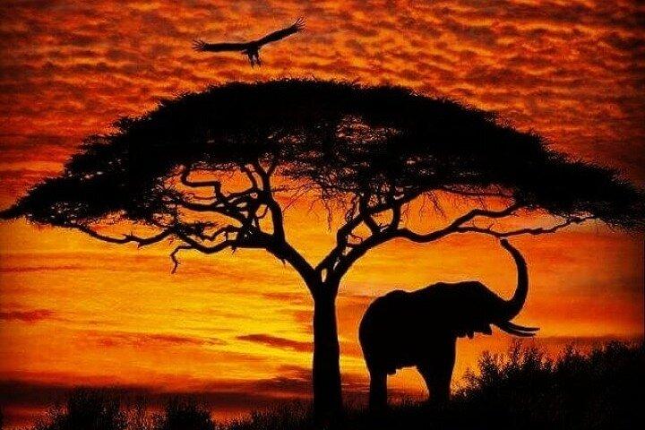 12 jours de safari mémorable au Kenya et en Tanzanie