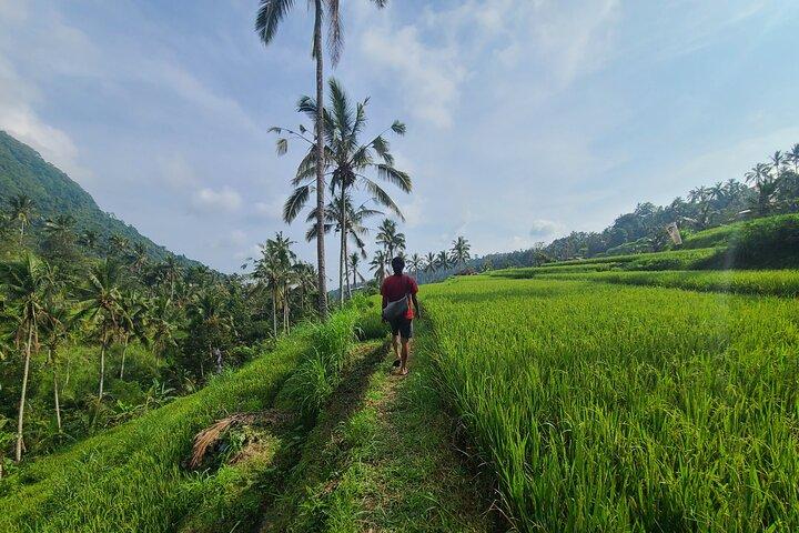 Lemukih Hidden Trekking Waterslide Sekumpul und Fiji Waterfall