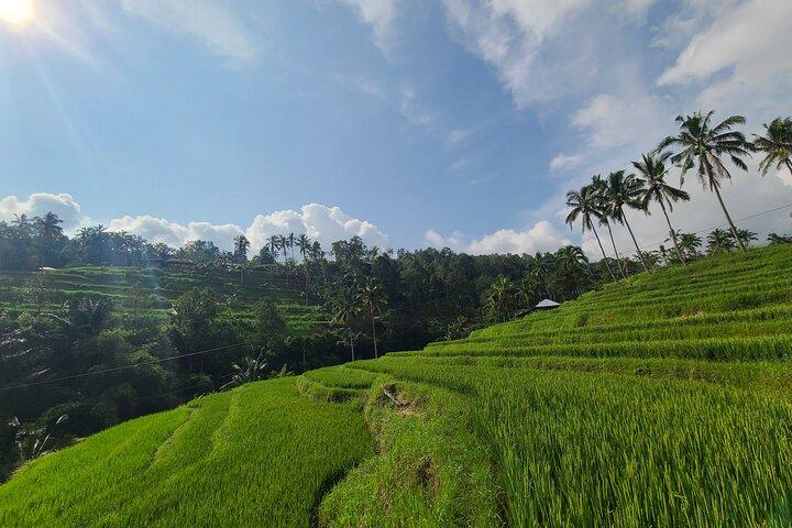 Lemukih Hidden Trekking Waterslide Sekumpul und Fiji Waterfall