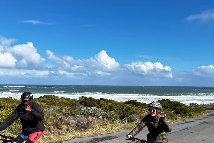 Cape Peninsula E-bike Cycle with Vehicle - Private Tour