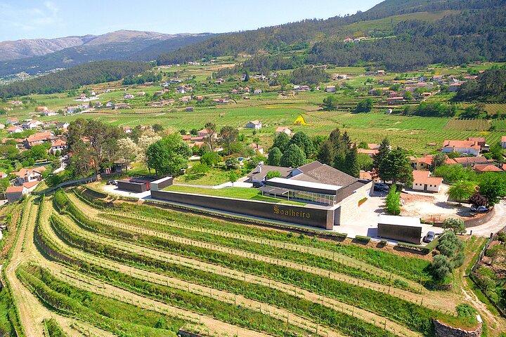 Vinho Verde-ervaring met 2 wijnhuizen en lunch
