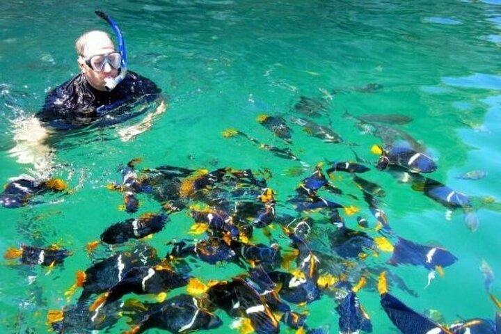 Puerto Vallarta Snorkling på Arcos och Animas eller Quimixto