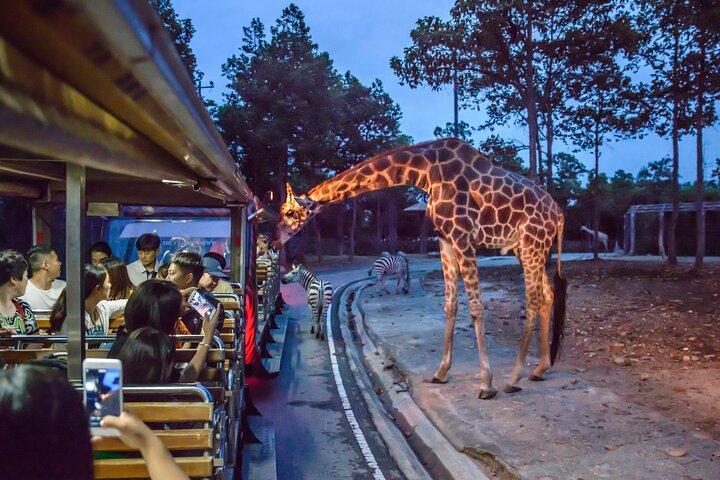 Chiang Mai Night Safari Billet