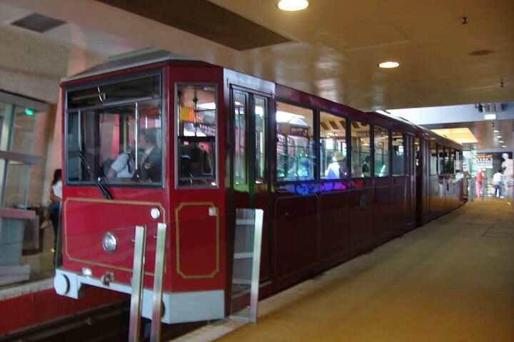 Deluxe Hong Kong City Tour using Mercedes-Benz V-Class Car+ Guide