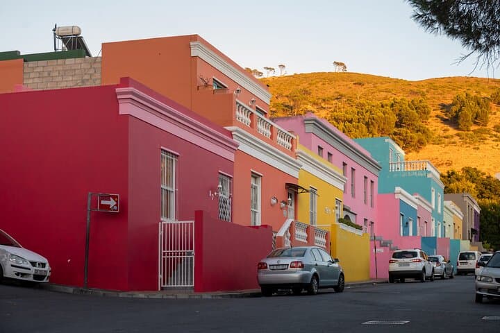 Cape Peninsula &Penguin Sightseeing in Private Car Full Day Tour