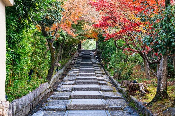 Une visite pour découvrir le feuillage d'automne de Kyoto au temple Kiyomizu-dera