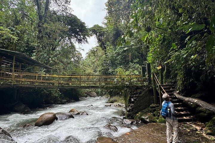 Mindo Cloud Forest Private Tagestour und Schokoladenfabrik