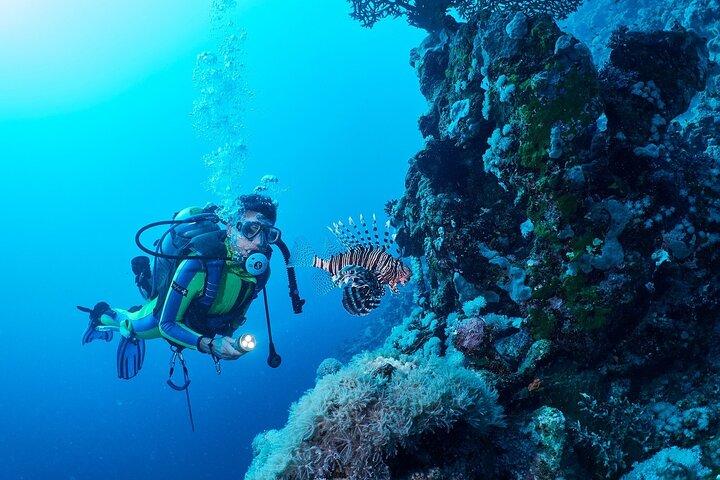 Avventura subacquea per principianti con pranzo – Sharm El Sheikh