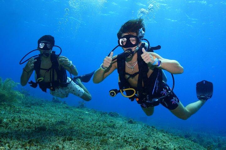 Private Discover Scuba Diving in Cozumel for First-Time Divers