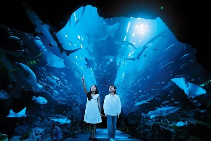 Burj Khalifa and Dubai Aquarium Combo Entrance Ticket