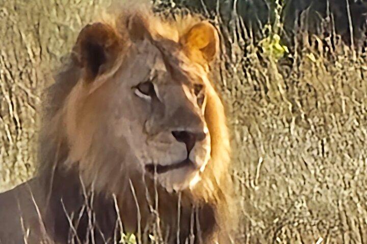 Elky Tours 2 giorni Tsavo Est Tour
