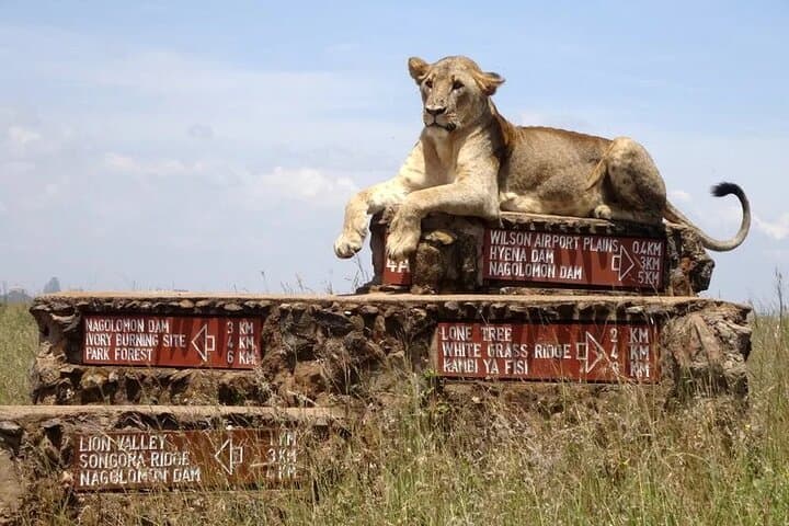 1 Day Tour Nairobi National Park, Elephant Center, Giraffe Ctr