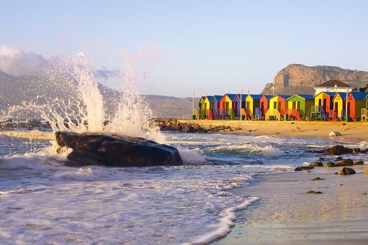 Table Mountain National Park and Penguins Colony Half Day Tour