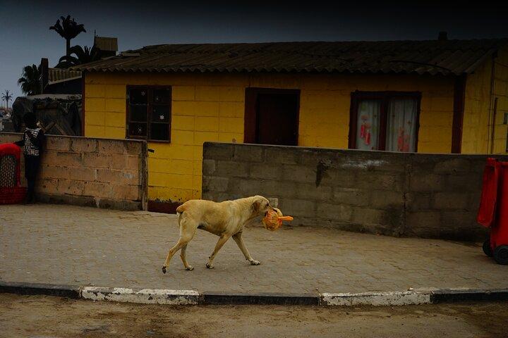 Local est Lekker 'privé' Township Tour