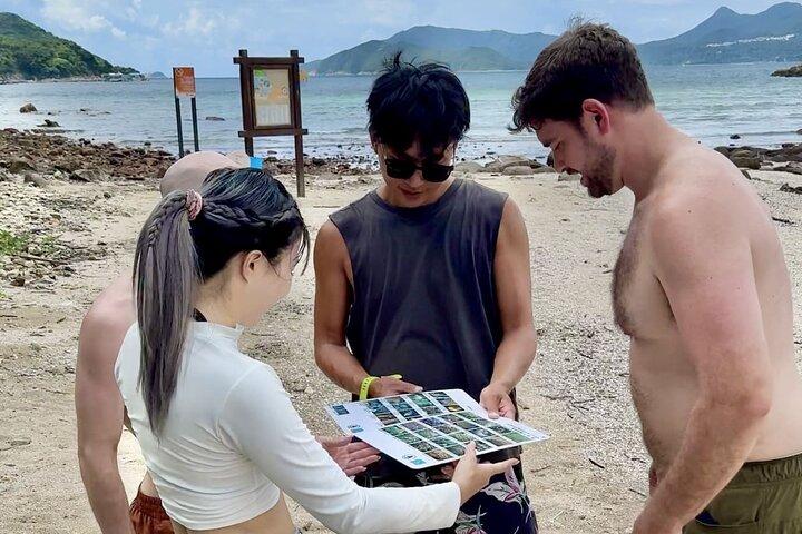 Snorkeling Guided Tour in Hong Kong's Cactus Coral Area