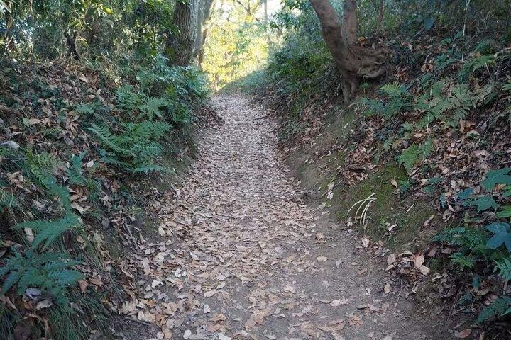 Kamakura Privé Culturele en Historische Wandeltocht