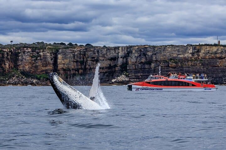 Whale Watching & Taronga Zoo Cruise Package - Sydney Harbour