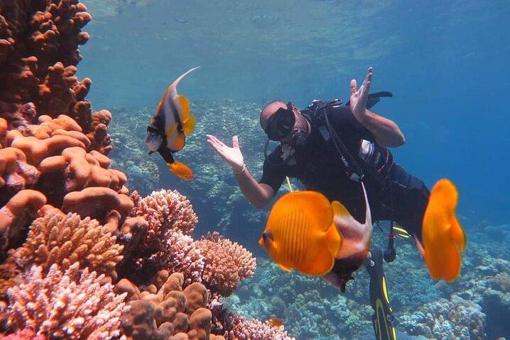 Orange Bay Island Snorkling med vattensporter i Hurghada