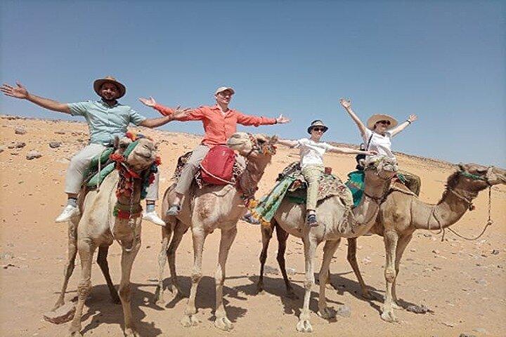 Luxor private City Tour west bank Camel Ride & Felucca sailboat