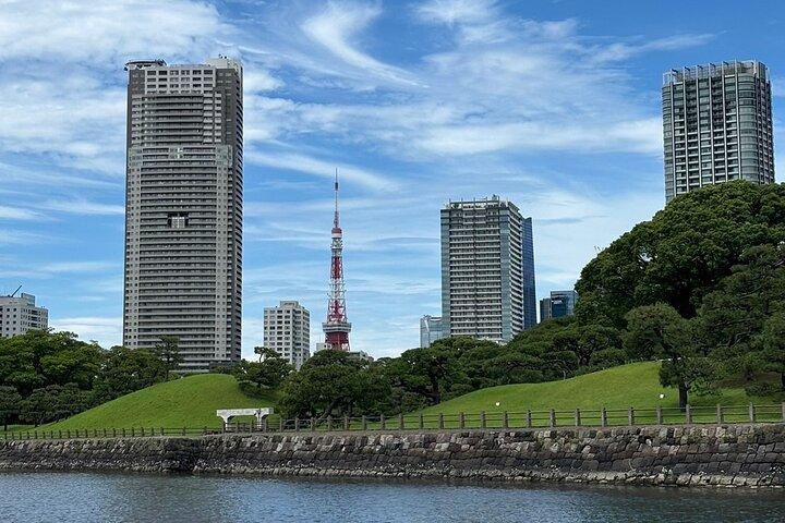 Tokyo: Privat flygplatstransfer i en lyxig SUV med Meet & Greet