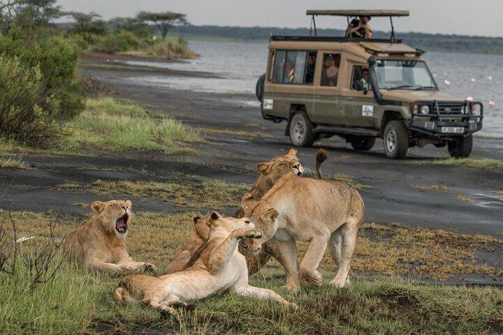 Excursión privada de 6 días a Great Migration Ndutu Serengeti Safari