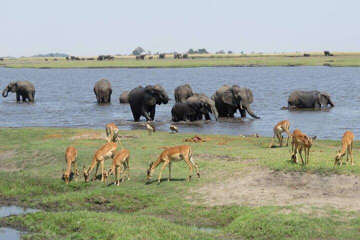 Volledig dag Safari ervaring Chobe National Park in Botswana