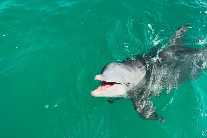 Udflugt i nærheden af Shell Island i Panama City Beach